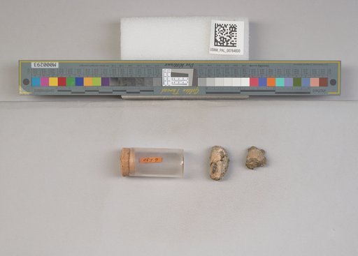 NSF ADBC EPICC TCN
