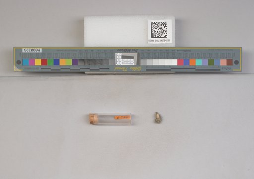 NSF ADBC EPICC TCN