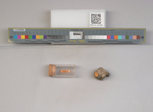 NSF ADBC EPICC TCN
