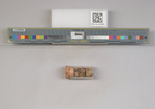 NSF ADBC EPICC TCN