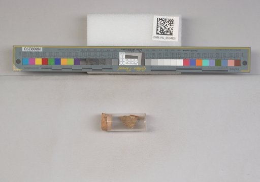 NSF ADBC EPICC TCN