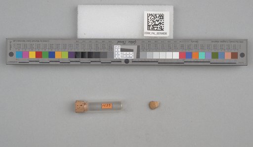 NSF ADBC EPICC TCN