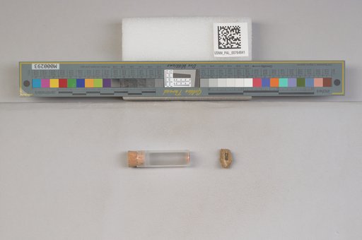 NSF ADBC EPICC TCN