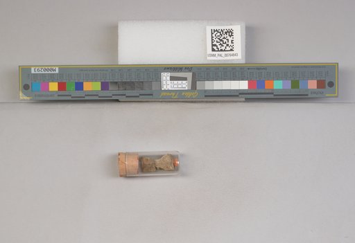 NSF ADBC EPICC TCN