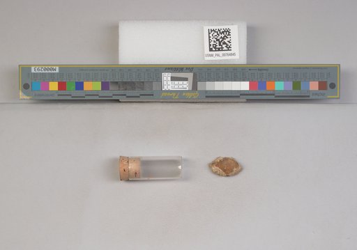 NSF ADBC EPICC TCN