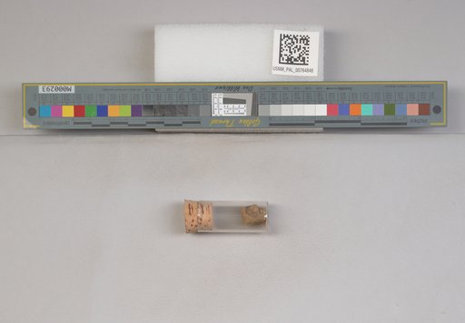NSF ADBC EPICC TCN
