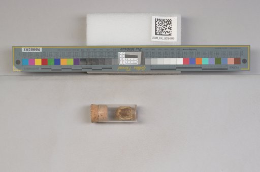 NSF ADBC EPICC TCN