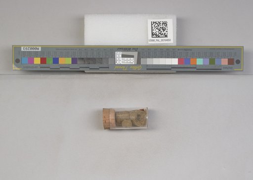 NSF ADBC EPICC TCN