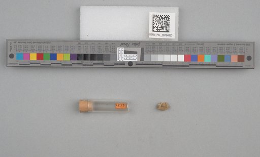 NSF ADBC EPICC TCN