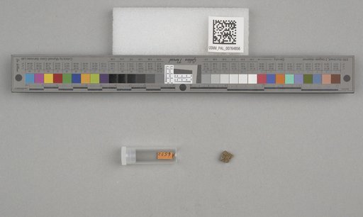 NSF ADBC EPICC TCN