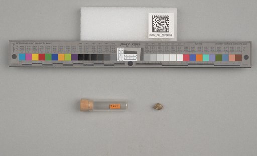 NSF ADBC EPICC TCN