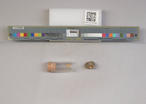 NSF ADBC EPICC TCN