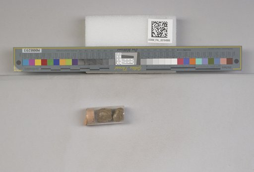 NSF ADBC EPICC TCN