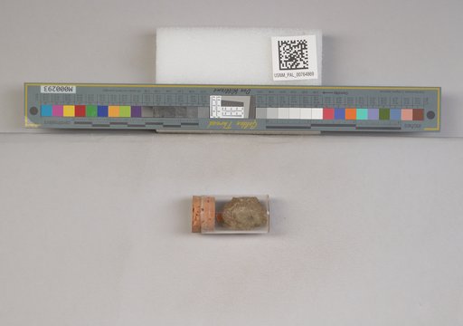 NSF ADBC EPICC TCN