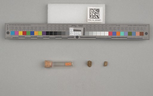 NSF ADBC EPICC TCN