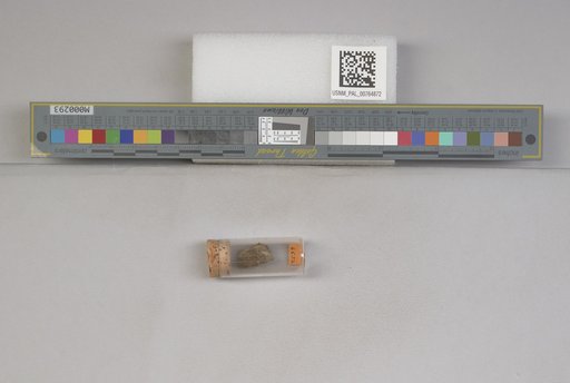 NSF ADBC EPICC TCN