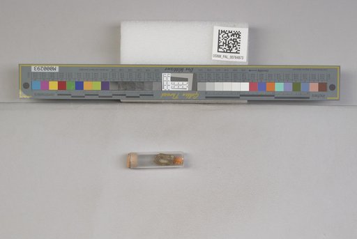 NSF ADBC EPICC TCN