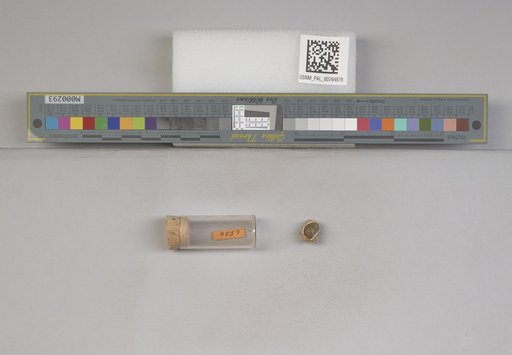 NSF ADBC EPICC TCN