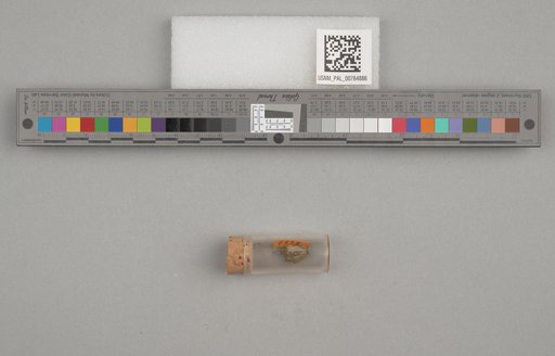 NSF ADBC EPICC TCN
