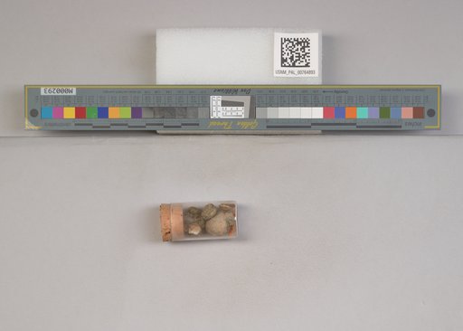 NSF ADBC EPICC TCN