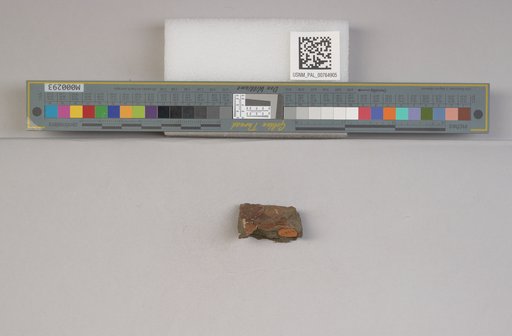 NSF ADBC EPICC TCN