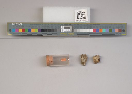 NSF ADBC EPICC TCN