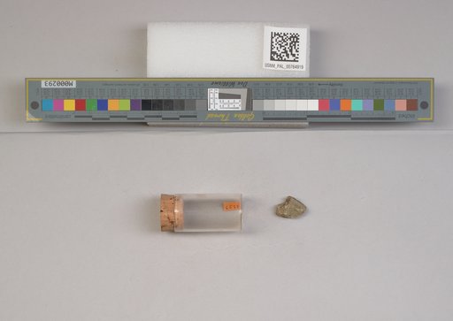 NSF ADBC EPICC TCN