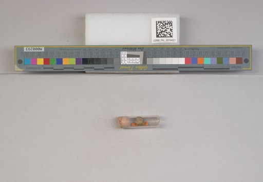 NSF ADBC EPICC TCN