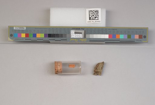NSF ADBC EPICC TCN