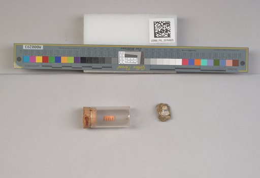NSF ADBC EPICC TCN