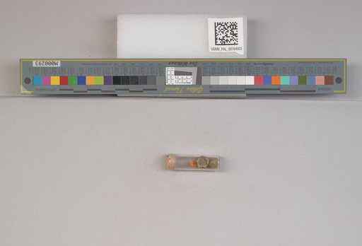 NSF ADBC EPICC TCN