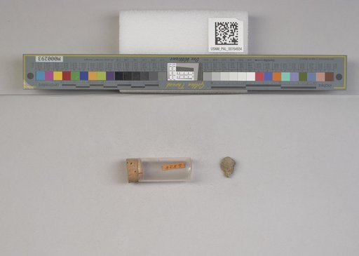 NSF ADBC EPICC TCN