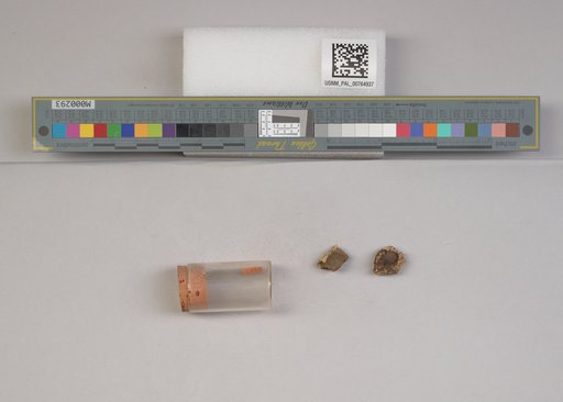 NSF ADBC EPICC TCN