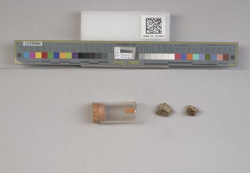 NSF ADBC EPICC TCN