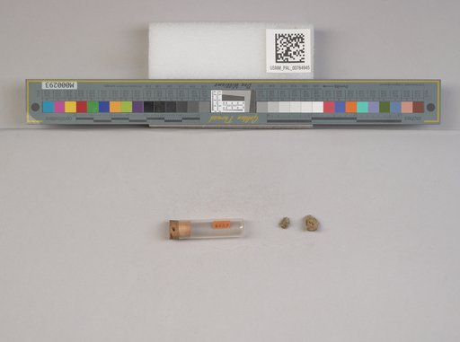 NSF ADBC EPICC TCN