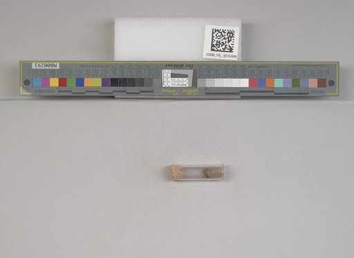 NSF ADBC EPICC TCN