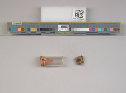 NSF ADBC EPICC TCN