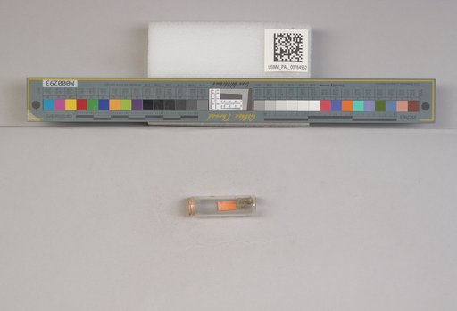 NSF ADBC EPICC TCN