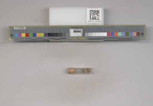 NSF ADBC EPICC TCN