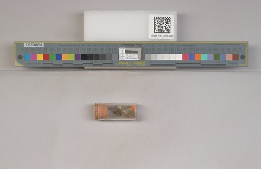 NSF ADBC EPICC TCN