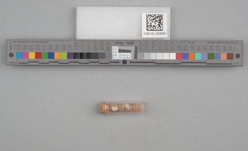 NSF ADBC EPICC TCN