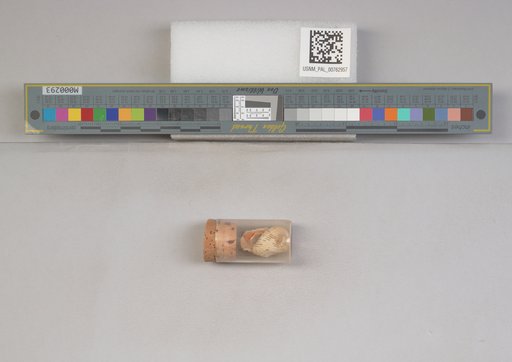 NSF ADBC EPICC TCN
