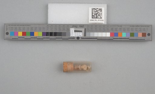 NSF ADBC EPICC TCN