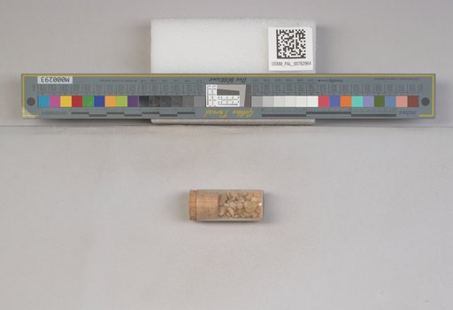 NSF ADBC EPICC TCN