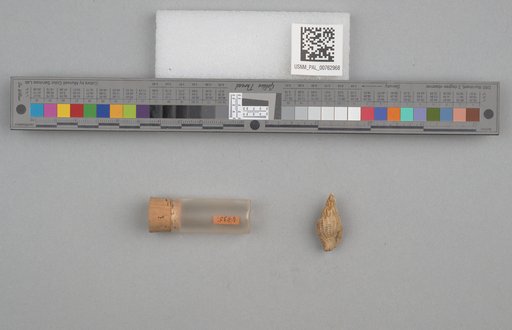 NSF ADBC EPICC TCN