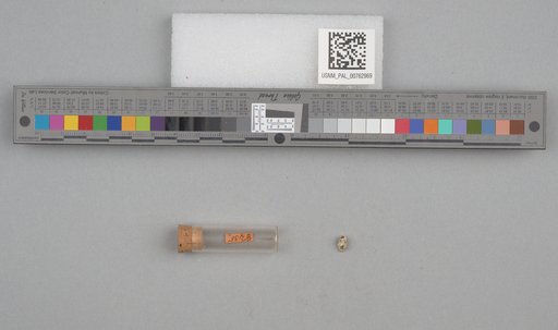 NSF ADBC EPICC TCN