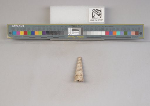 NSF ADBC EPICC TCN