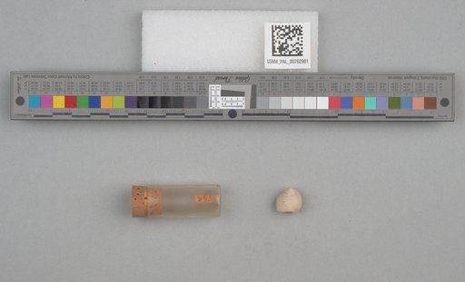 NSF ADBC EPICC TCN