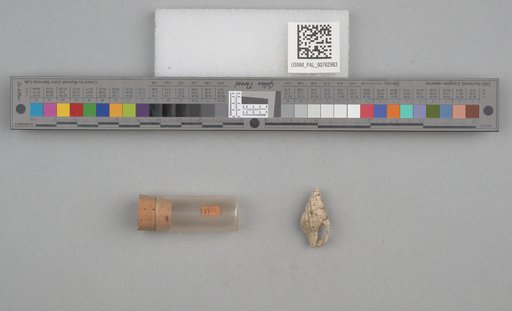 NSF ADBC EPICC TCN