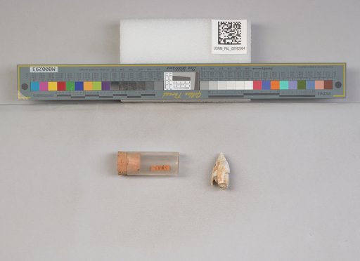 NSF ADBC EPICC TCN